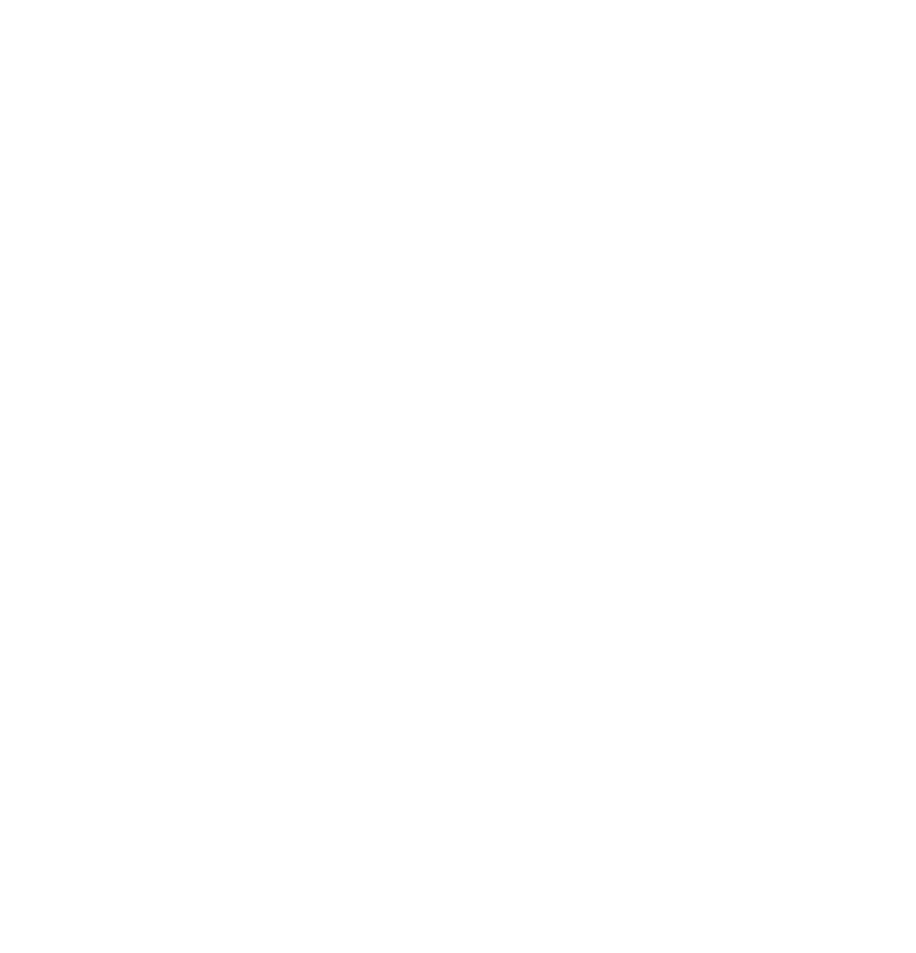 iGlobe Transport & Solutions